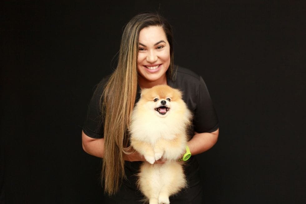 Hidratação e manutenção na pelagem longa dos cães: você sabe como fazer? Hidratação e manutenção na pelagem longa dos cães: você sabe como fazer?