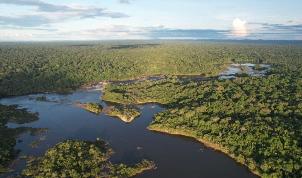 O Novo Pré Sal Verde! A nova comodites será a conservação da Biodiversidade! O Novo Pré Sal Verde! A nova comodites será a conservação da Biodiversidade!