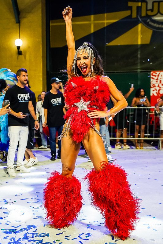 Fotos: Eduardo Hollanda , Thiago Valladares, Léo Queiroz / Divulgação Rio Carnaval