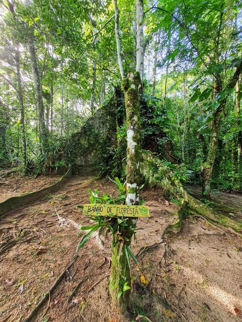 Transforme Sua Marca Pessoal com Personal Branding e Homeostase Quântica da Essência 20 Crédito da Foto: By ComunicaZan / Produtora de Conteúdo