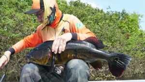 Fabio Cerretti: O empresário por trás do sucesso da Pousada Toca do Açu e da pesca esportiva na Amazônia