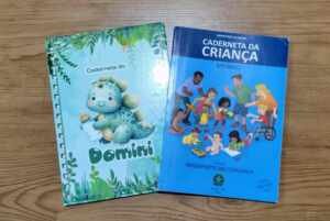 A Importância da Caderneta de Vacina Personalizada Proteção e Estilo por Fernanda Marques