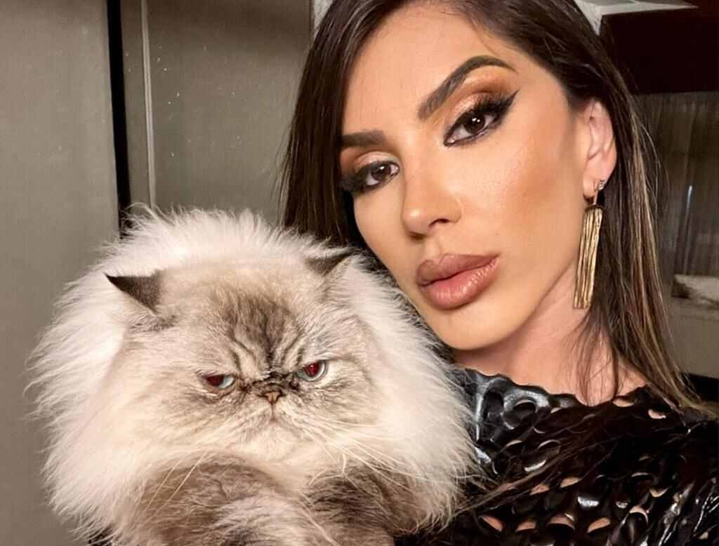 Andrea Andrade revela rotina de cuidados com gatos persas himalaios