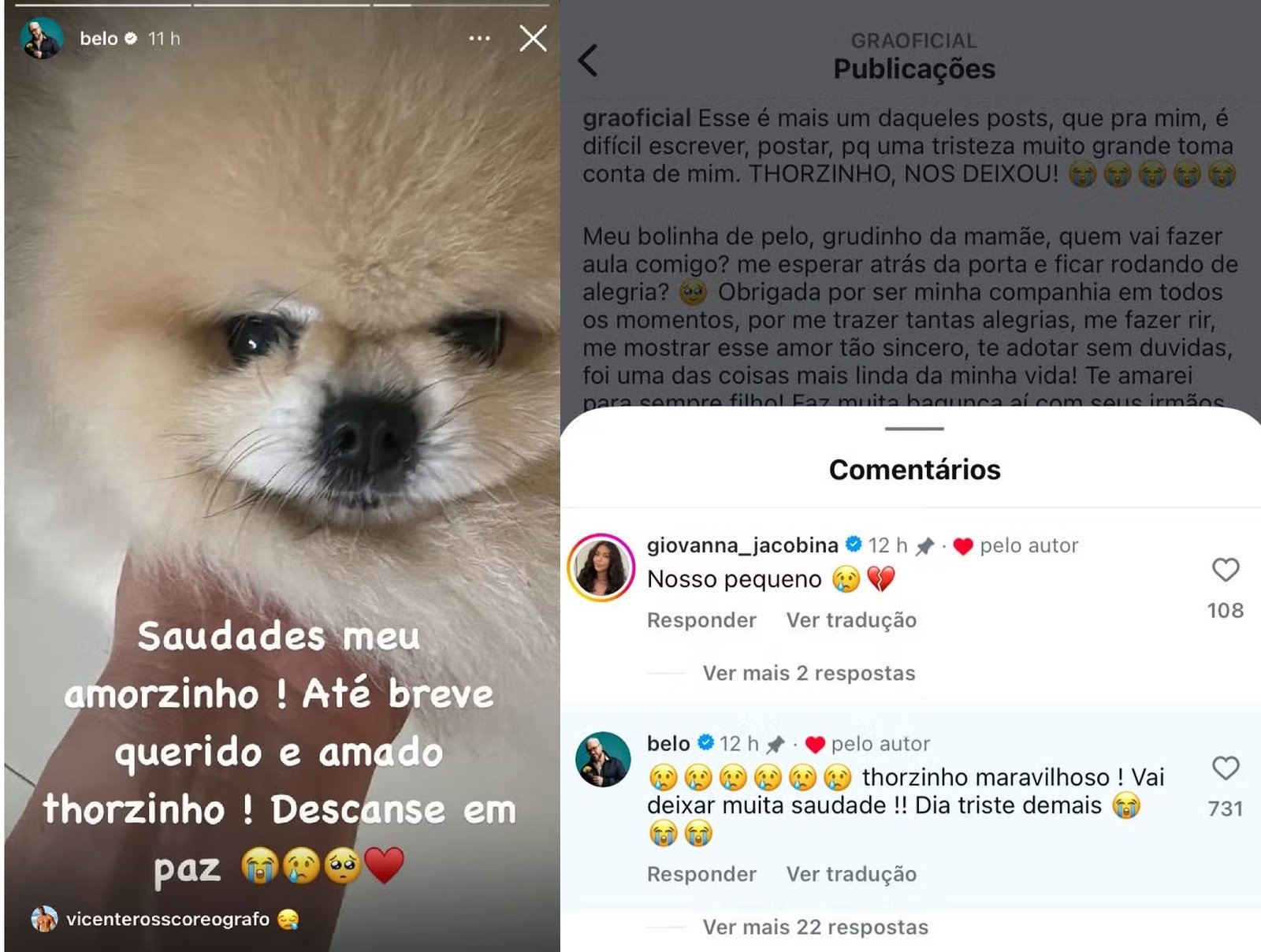 Belo e Gracyanne Barbosa lamentam a morte de Thorzinho, cão de estimação da família 17 belo