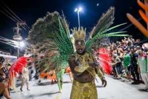 Wallace Guedes é campeão com a Niterói e sobe com a Lins Imperial