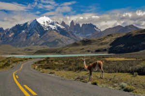 Reformas econômicas de Milei tornam a Argentina um novo polo para investidores e empreendedores brasileiros