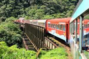 Passeio de Trem da Serra do Mar é eleito um dos melhores do mundo por publicação internacional