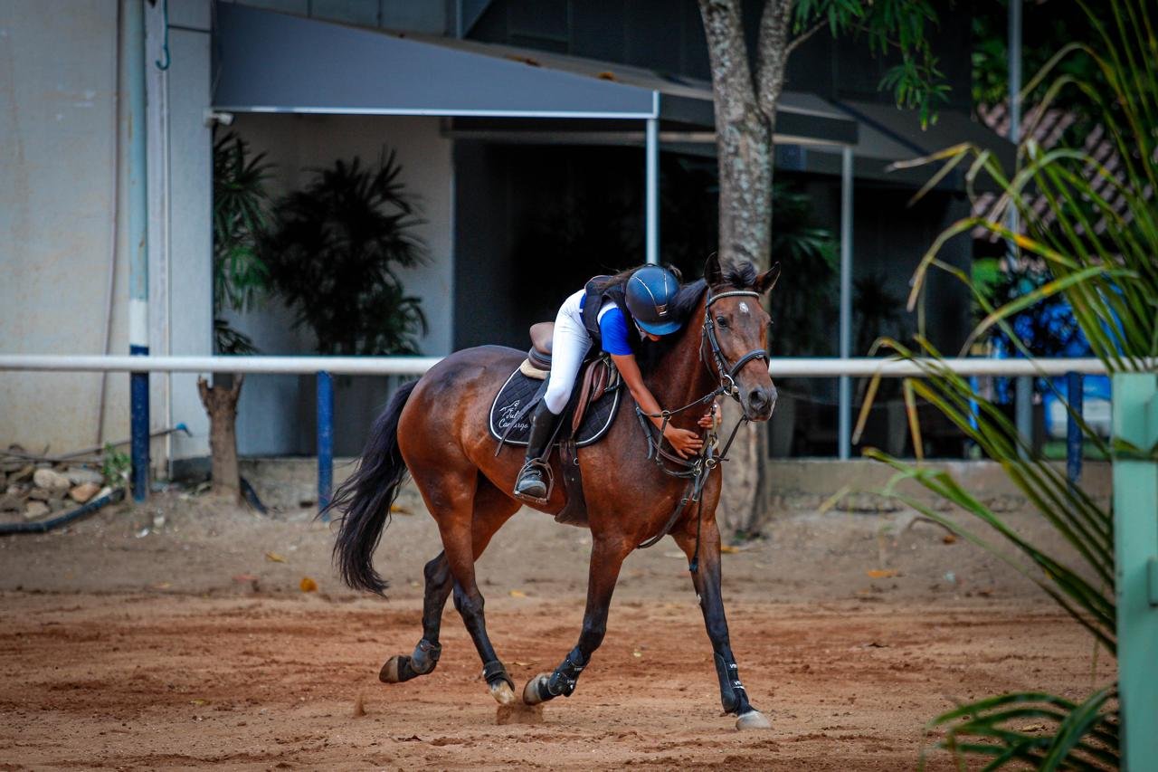 WhatsApp Image 2025 05 27 at 16.54.33 2