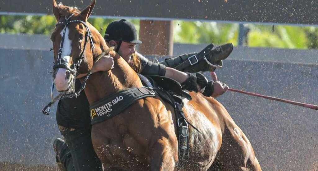 Inquestionável leva Monte Sião Haras à liderança no maior campeonato de vaquejada do Brasil