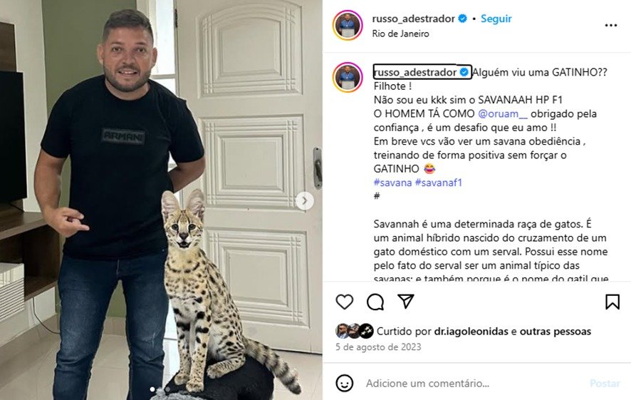 Russo, o Maior Adestrador do Brasil e do Mundo, A História ao Adestrar o Felinos Selvagem 15 WhatsApp Image 2025 07 30 at 9.58.17 PM