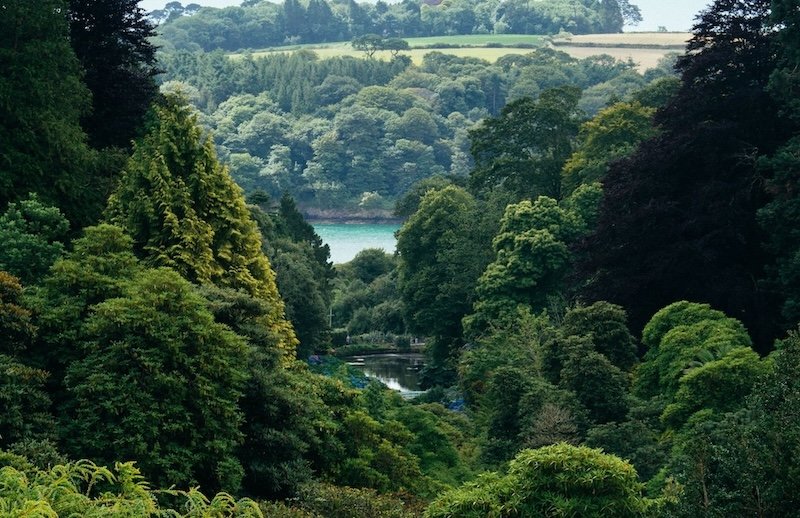 Crédito da Foto: Divulgação