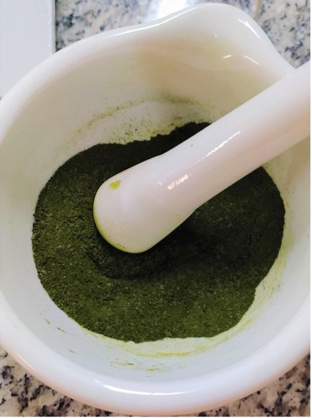 Microalgas e o futuro da sustentabilidade: a contribuição científica de Ihana de Aguiar Severo 20
