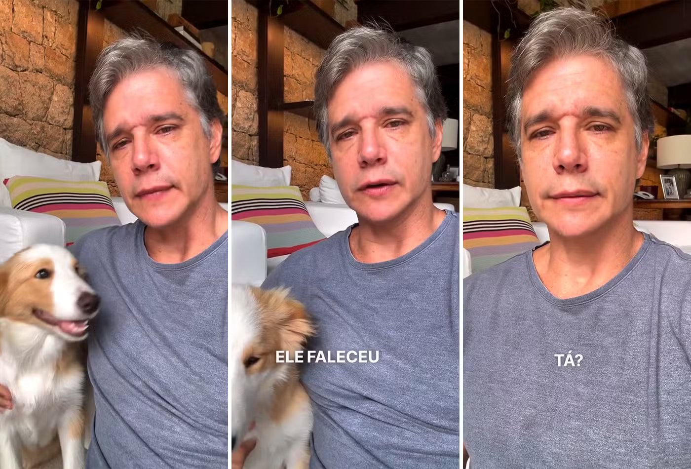 Marcio Garcia chora ao anunciar a morte de cão, diagnosticado com linfoma