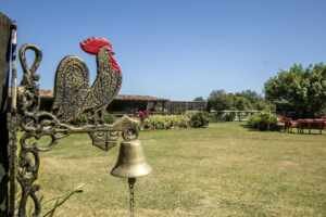 Reality internacional vai ocupar até o pasto de “A Fazenda” e área de “A Grande Conquista”