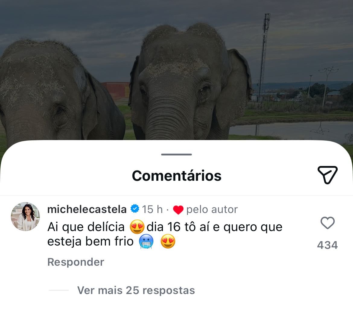 Reprodução / Instagram: @michelecastela