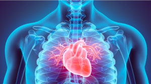 Fevereiro, o mês do coração: por que o check-up cardiovascular nunca foi tão importante