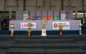 Dez escolas, duas vagas e muita disputa: Acesso II abre o carnaval paulistano