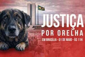 Manifestação em Brasília pressiona por CPI e justiça no caso do cão Orelha