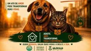 Nilópolis lança campanha permanente para resgatar e dar novos lares a animais abandonados