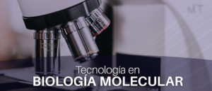Exames laboratoriais confiáveis em Misiones Argentina: conheça o CentroLab Iguazú