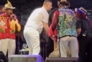 Alcione cai durante show no Maranhão, assusta fãs e segue apresentação normalmente